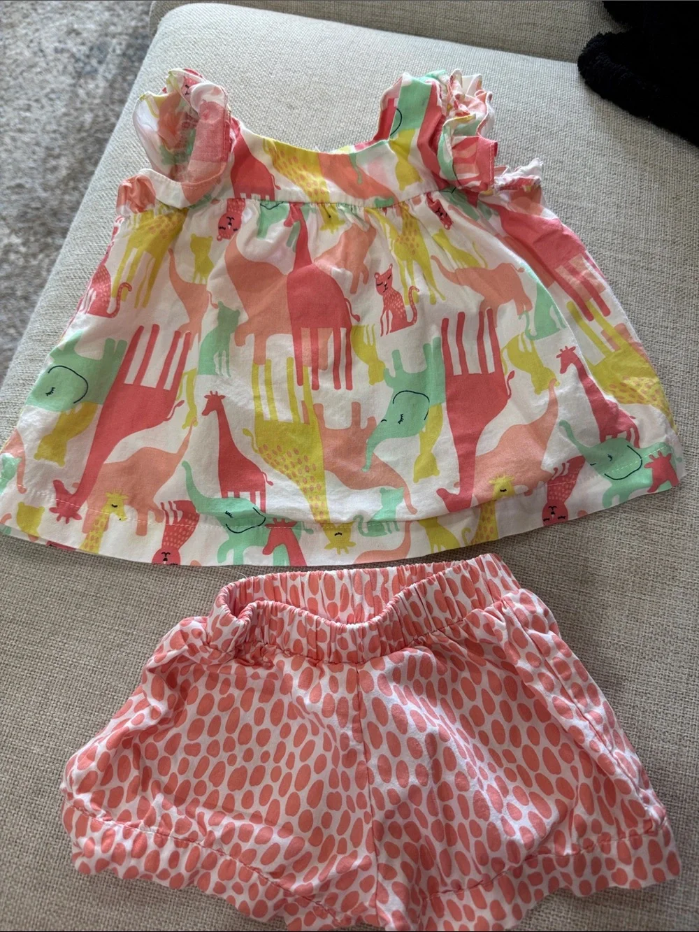 Girls' Animal Print Pink & Mint Matching Set